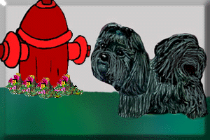 Hydr.GIF - 61087 Bytes