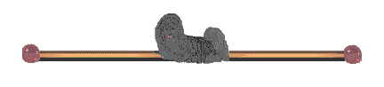 PrinceyBarc.gif - 14492 Bytes